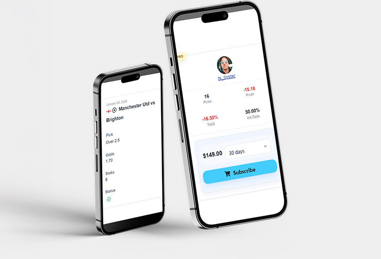Preview of the mobile friendly storefront